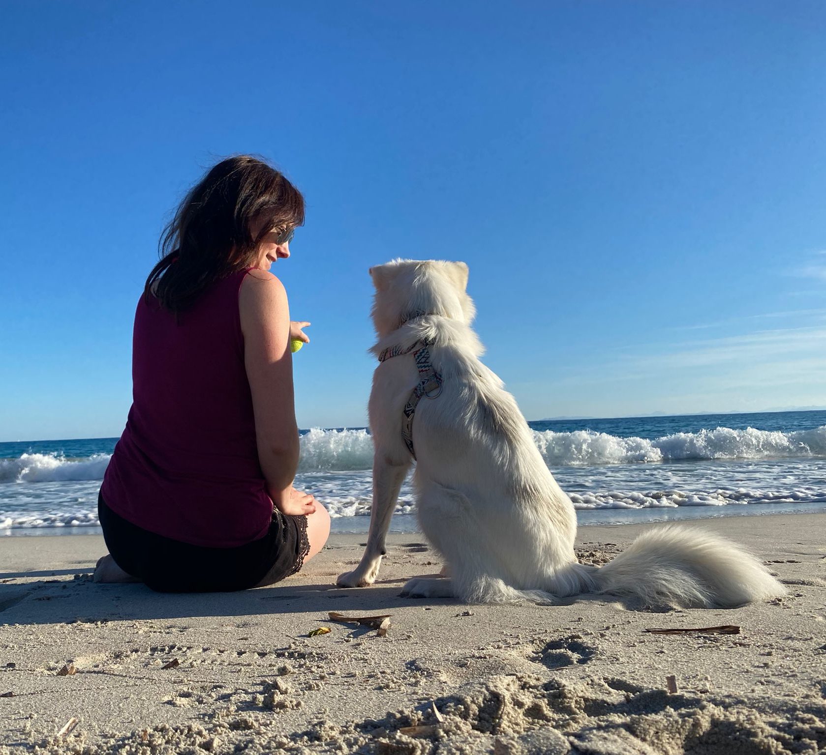 chien blanc avec humaine à la plage